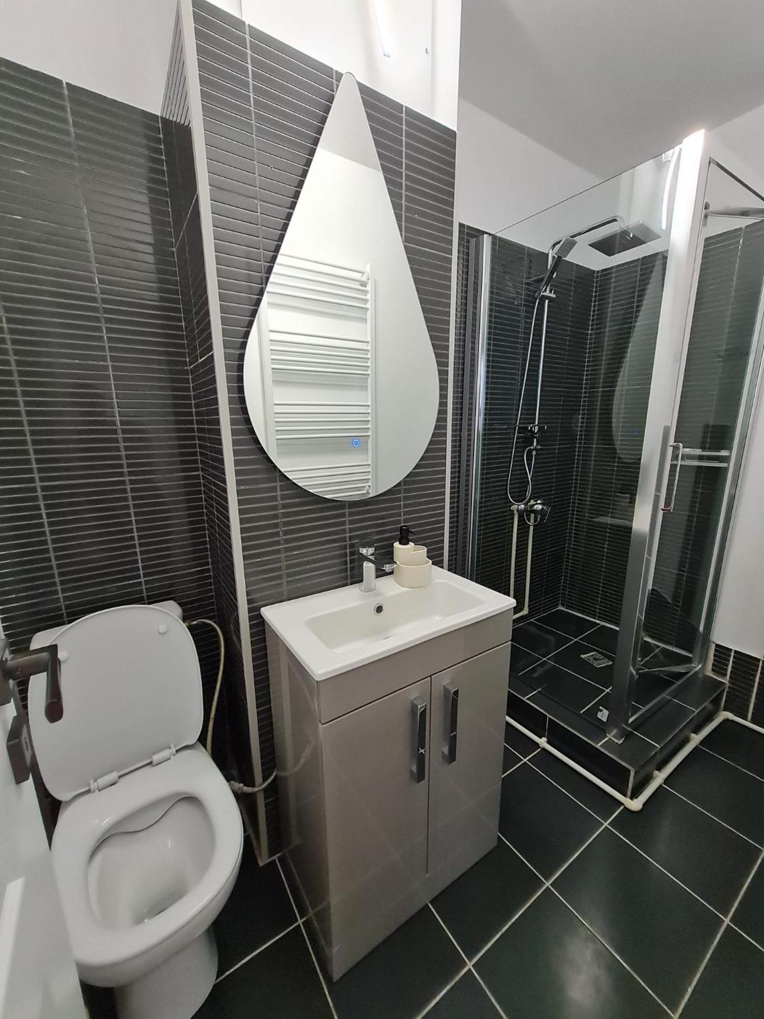Apartment Romanescu One