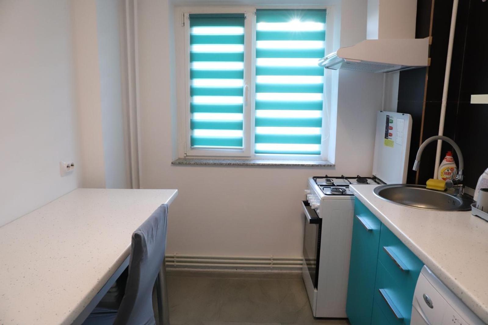 Apartment Romanescu One